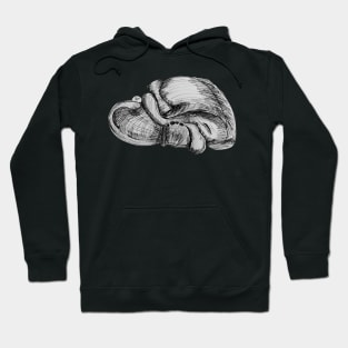 Liver Pen and Ink Illustration Hoodie